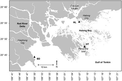 Analysis of the metals and metalloids concentrations and of the bacterial population in sediments of the Red River Delta, Vietnam